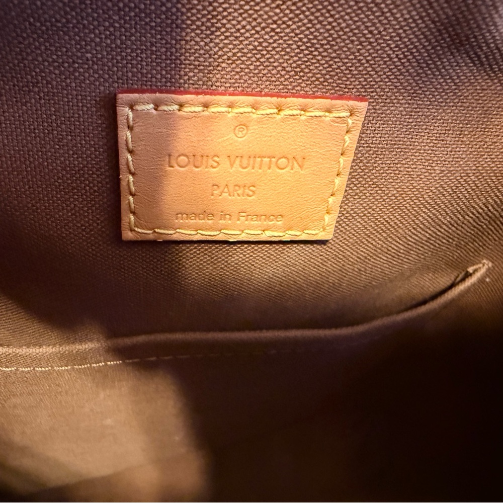 Louis Vuitton Montsouris PM Backpack 💕 ❤️ - Picture 5 of 16